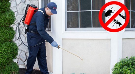 Akçakoca Dezenfeksiyon böcek ilaçlama ve haşere kontrolü — ilaclama-tr.com